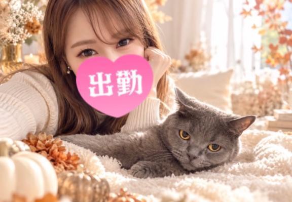 12時からいてます｜写メ日記｜宮本｜鶯谷 人妻デリヘル 華恋人（カレント）