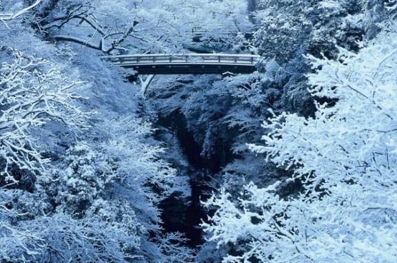 秋冬の風景｜写メ日記｜黒崎｜鶯谷 人妻デリヘル 華恋人（カレント）
