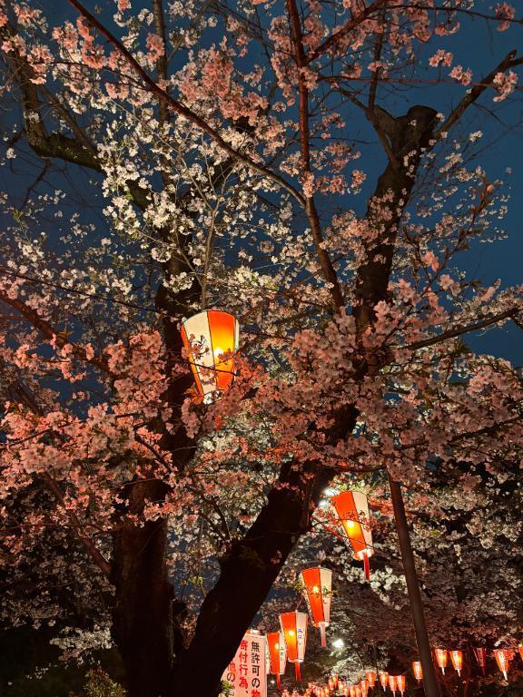 予約について｜写メ日記｜皆川｜鶯谷 人妻デリヘル 華恋人（カレント）