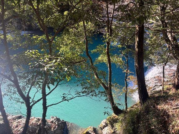 明日急遽予定変更です｜写メ日記｜高宮｜鶯谷 人妻デリヘル 華恋人（カレント）