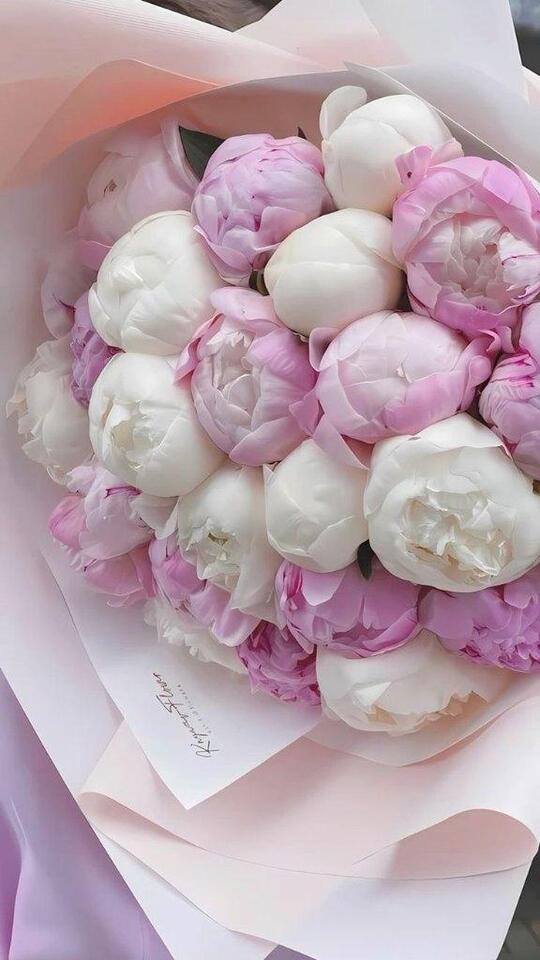 Տᕼᗩᒪᒪ  K様   ありがとう｜写メ日記｜小野｜鶯谷 人妻デリヘル 華恋人（カレント）