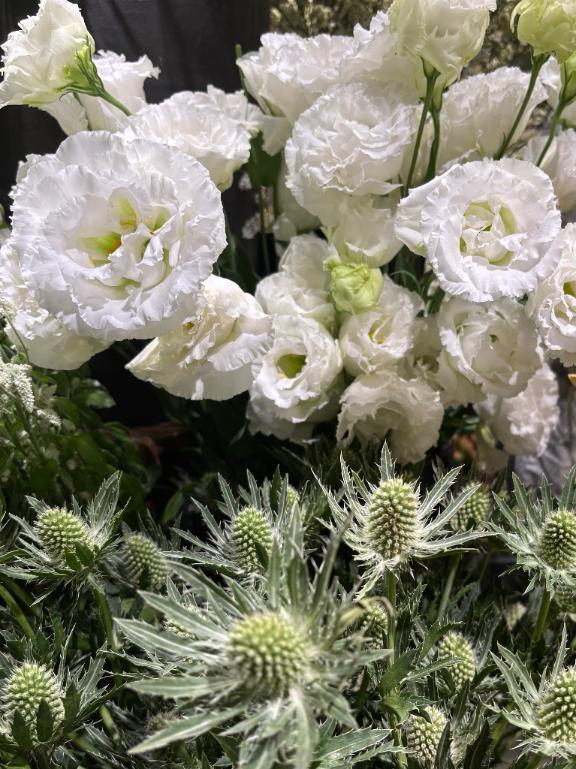 おはようございます｜写メ日記｜秋本｜鶯谷 人妻デリヘル 華恋人（カレント）