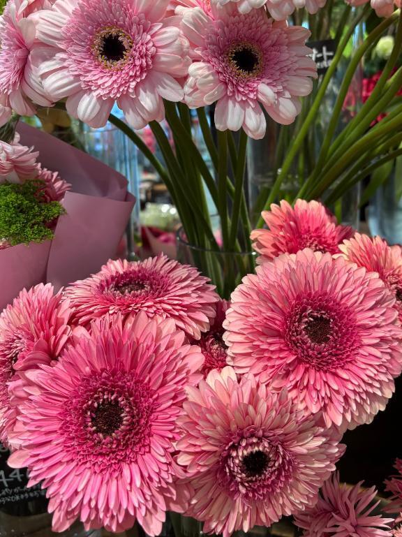 おはようございます｜写メ日記｜秋本｜鶯谷 人妻デリヘル 華恋人（カレント）