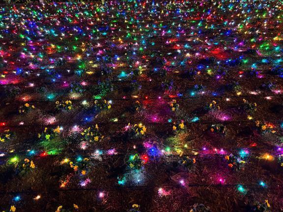 メリークリスマス｜写メ日記｜秋本｜鶯谷 人妻デリヘル 華恋人（カレント）