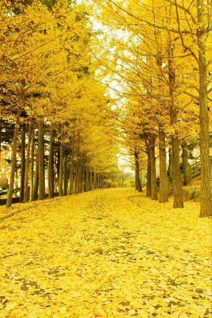 次回は明日12/2㈫、出勤します〜12月に入り〜