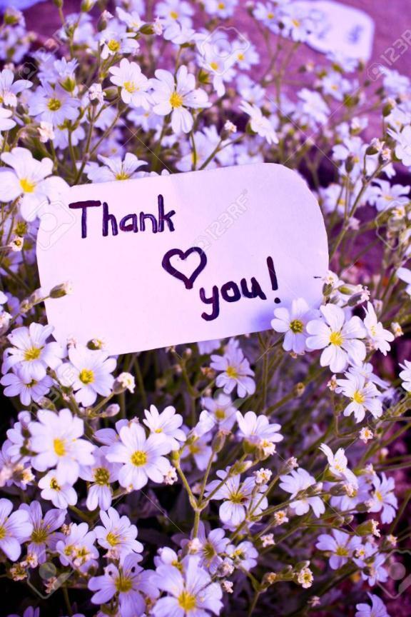 本日もありがとうございました｜写メ日記｜天音｜鶯谷 人妻デリヘル 華恋人（カレント）