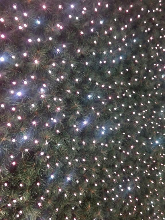 次回は12/7㈰、14:30〜出勤します〜もうイルミネーション〜｜写メ日記｜天音｜鶯谷 人妻デリヘル 華恋人（カレント）