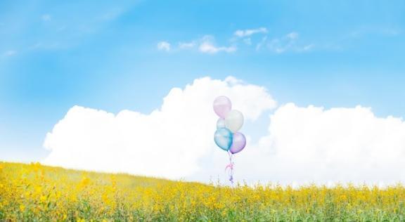 本日、12:30〜出勤します〜朝のお散歩〜｜写メ日記｜天音｜鶯谷 人妻デリヘル 華恋人（カレント）