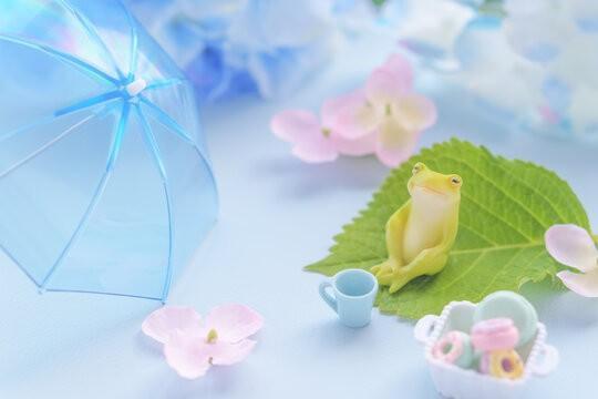次回、6/14㈰、11:00〜出勤します｜写メ日記｜天音｜鶯谷 人妻デリヘル 華恋人（カレント）