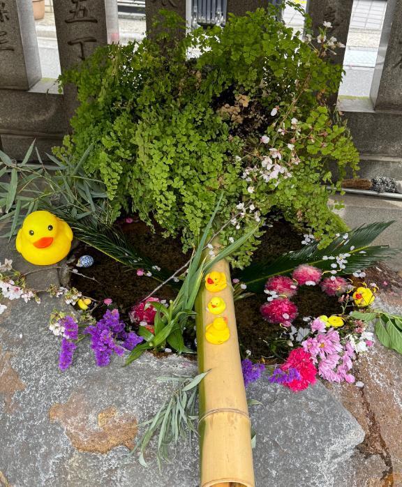 3月(2月も)ありがとう｜写メ日記｜北川｜鶯谷 人妻デリヘル 華恋人（カレント）