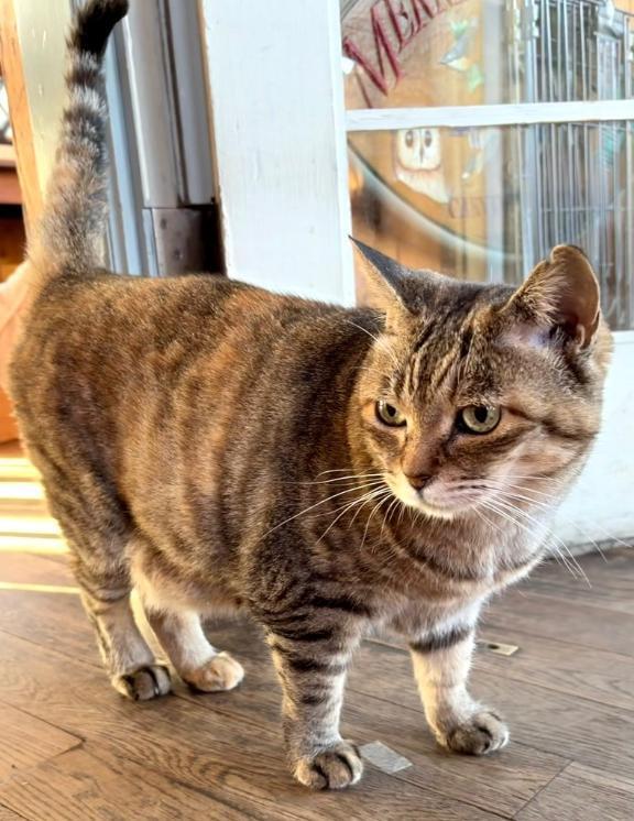 おはようございます｜写メ日記｜水嶋｜鶯谷 人妻デリヘル 華恋人（カレント）