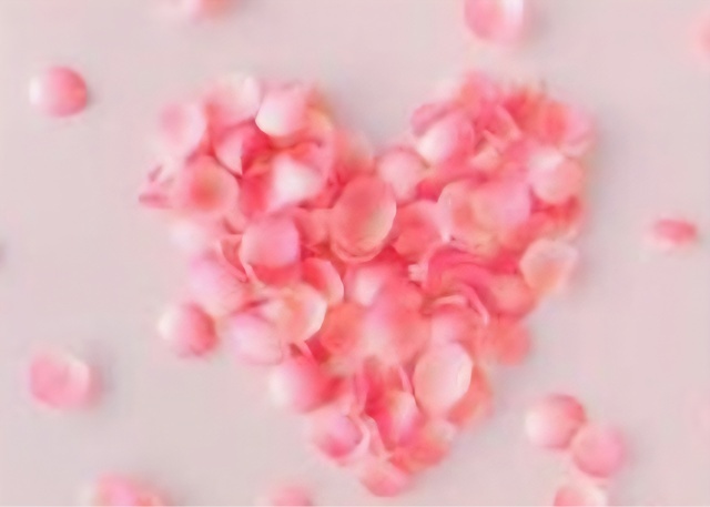 ありがとうᢉ𐭩 ᩚ