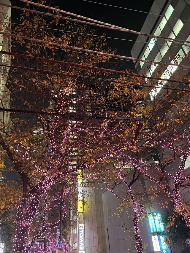 寒くなりましたね。|写メ日記|岡(おか)|大塚・巣鴨 人妻デリヘル 『あげは』