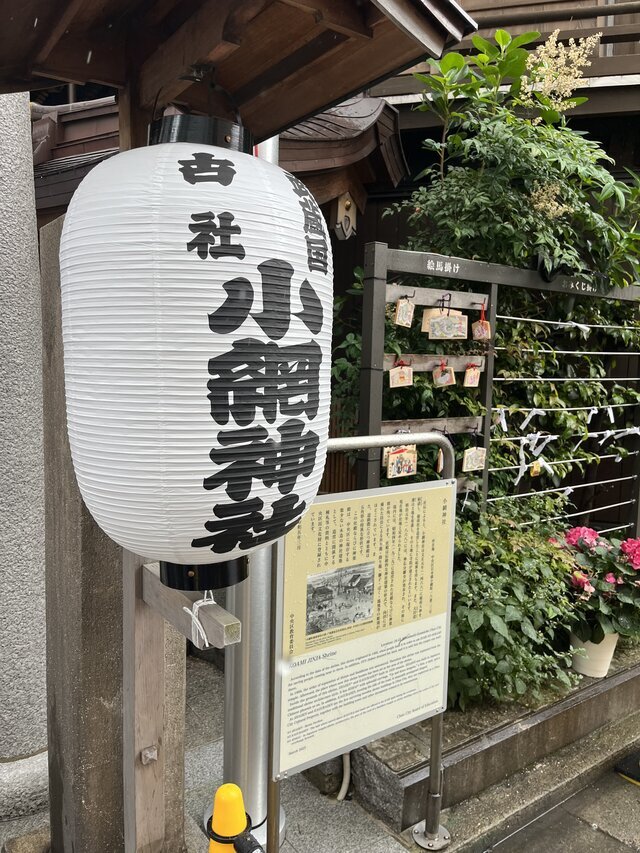 ご無沙汰してます🌹✨｜写メ日記｜岡(おか)｜大塚・巣鴨 人妻デリヘル 『あげは』