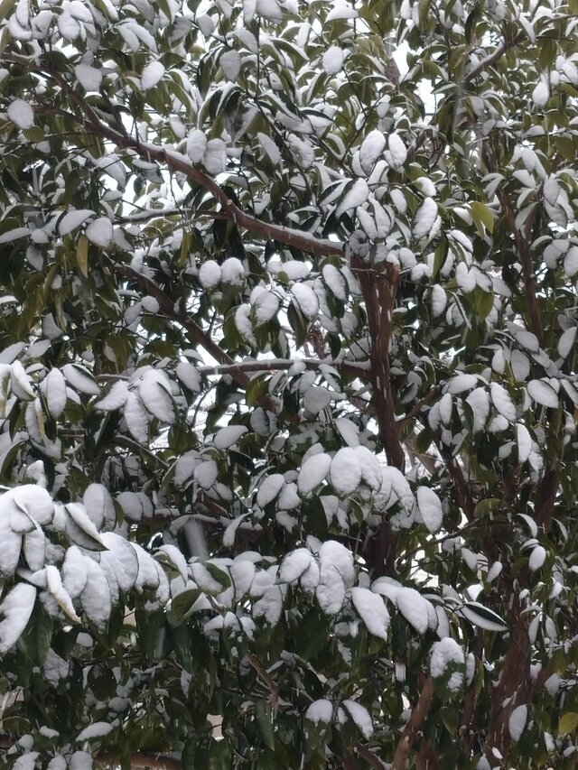 おはようございます。。。｜写メ日記｜北沢(きたざわ)｜大塚・巣鴨 人妻デリヘル 『あげは』