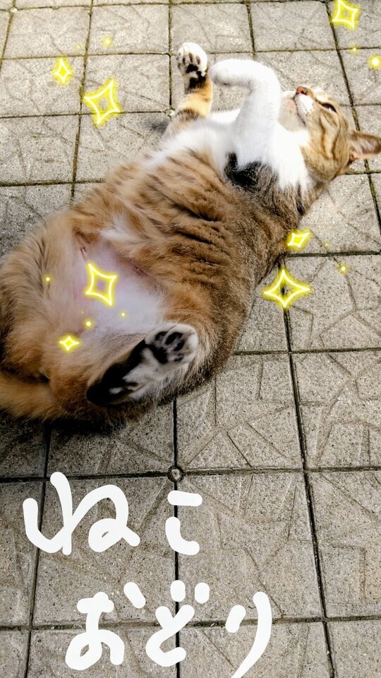 行ってらっしゃい✨️