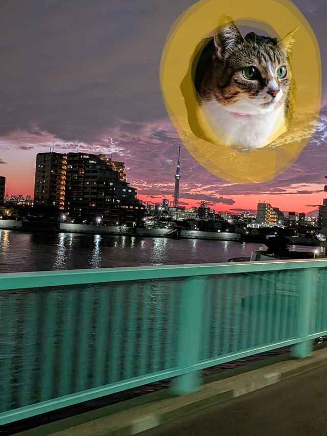 帰りのバスの車窓から