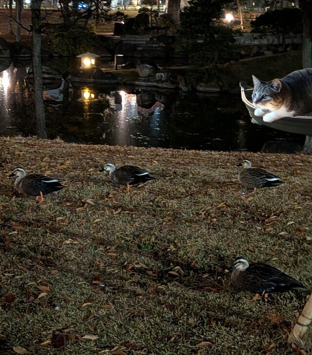 おはようございます|写メ日記|上杉(うえすぎ)|大塚・巣鴨 人妻デリヘル 『あげは』