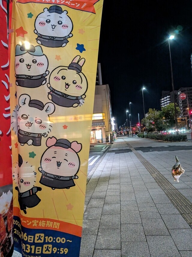 おはようございます｜写メ日記｜上杉(うえすぎ)｜大塚・巣鴨 人妻デリヘル 『あげは』