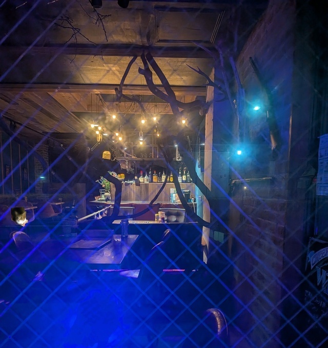 おはようございます｜写メ日記｜上杉(うえすぎ)｜大塚・巣鴨 人妻デリヘル 『あげは』