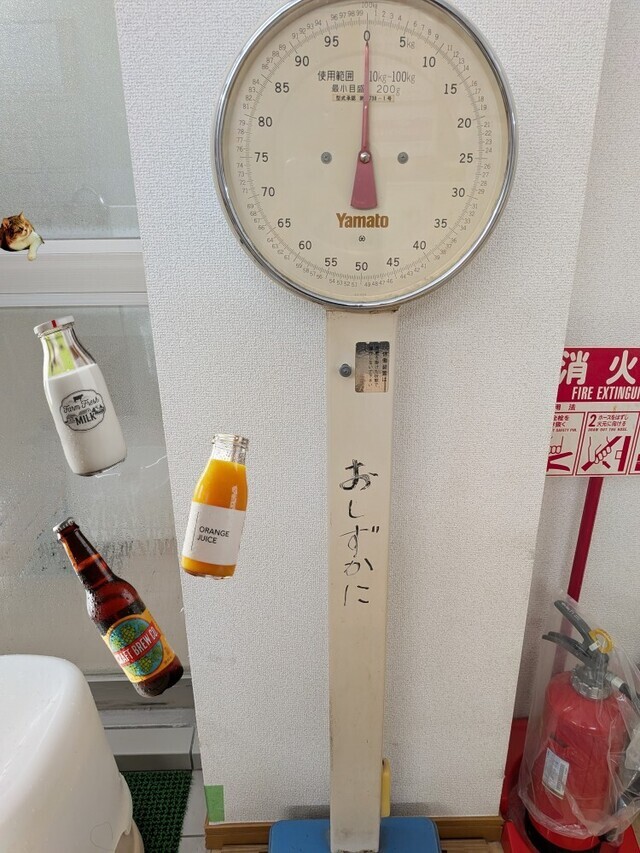 おはようございます