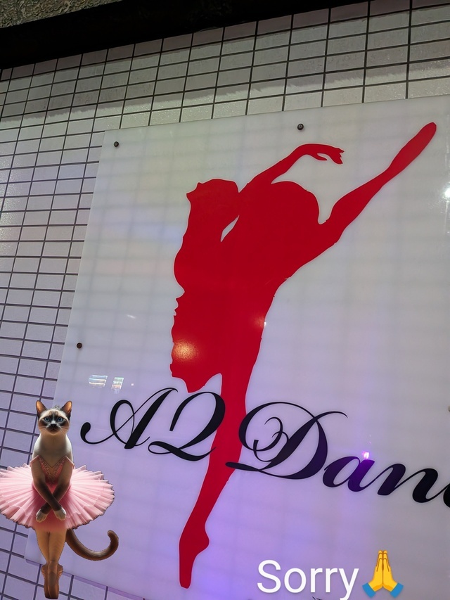 ごめんなさい🙏