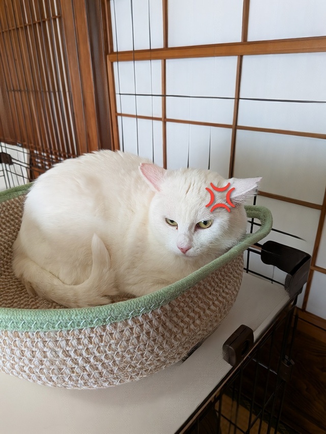 森永さん😼トライアル‼️