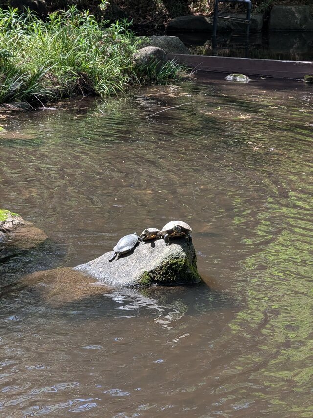 おはようございます