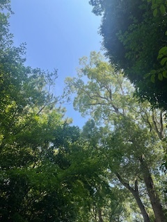 （╹◡╹）｜写メ日記｜君島(きみしま)｜大塚・巣鴨 人妻デリヘル 『あげは』