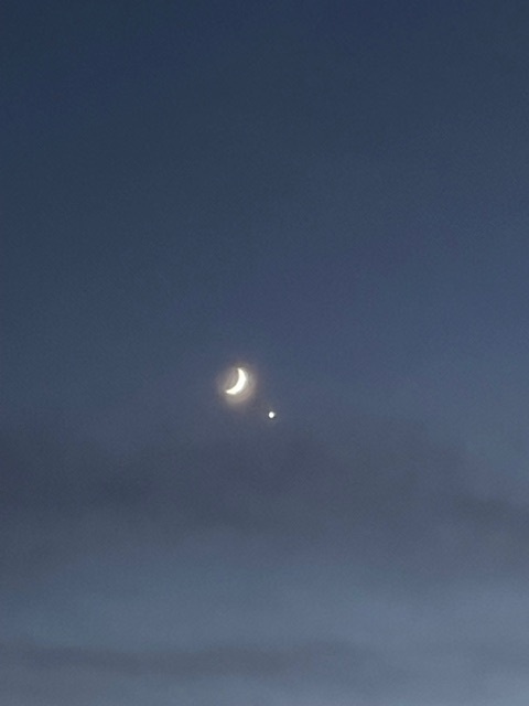 (^^)｜写メ日記｜君島(きみしま)｜大塚・巣鴨 人妻デリヘル 『あげは』