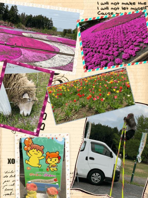 芝桜｜写メ日記｜丸山(まるやま)｜大塚・巣鴨 人妻デリヘル 『あげは』