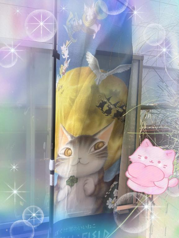 せっかくなので