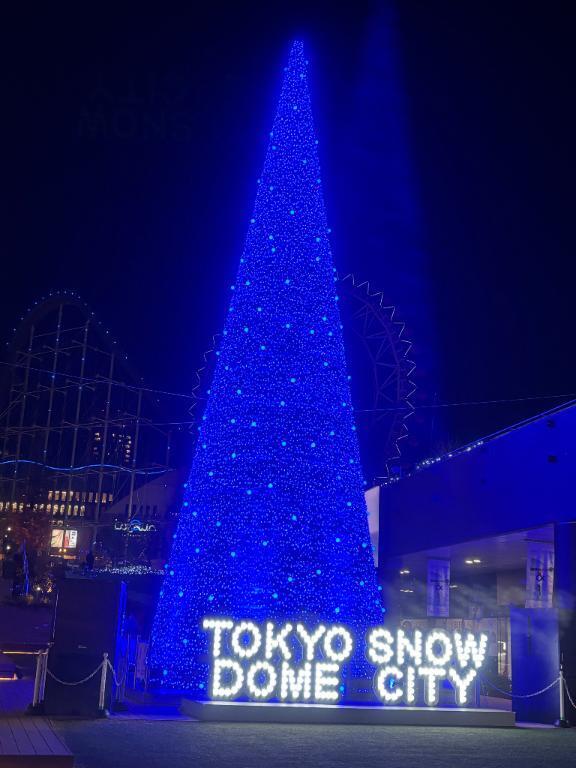 イルミネーション｜写メ日記｜丸山(まるやま)｜大塚・巣鴨 人妻デリヘル 『あげは』