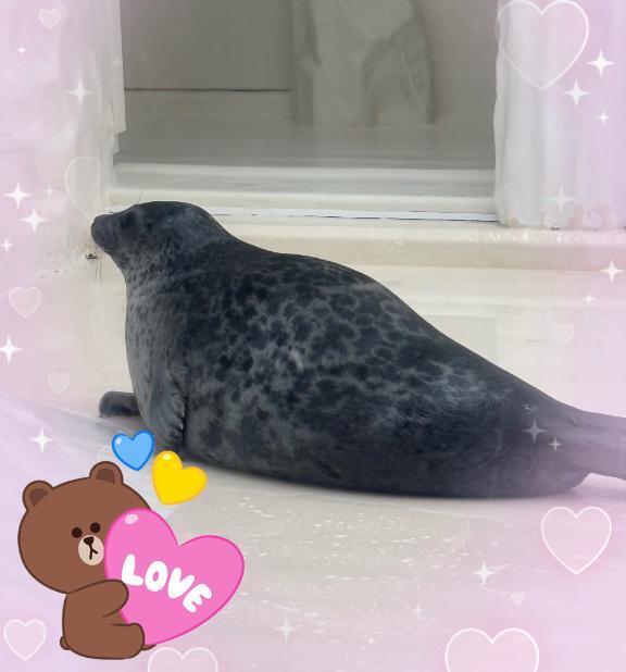 久々｜写メ日記｜丸山(まるやま)｜大塚・巣鴨 人妻デリヘル 『あげは』