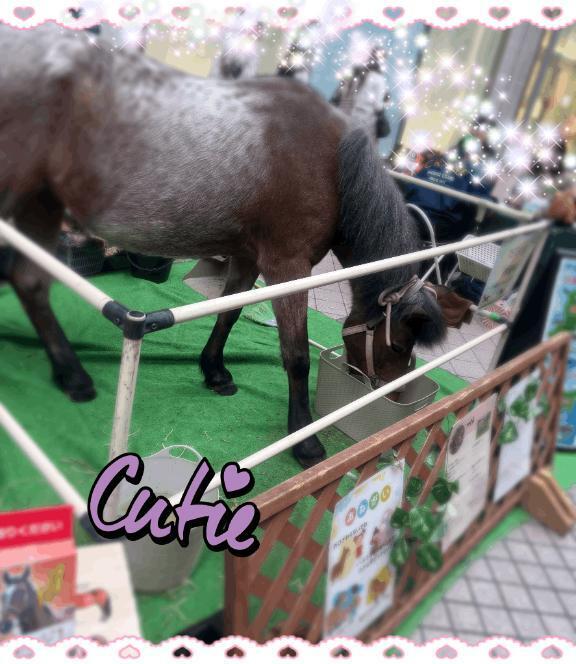 おはようございます｜写メ日記｜丸山(まるやま)｜大塚・巣鴨 人妻デリヘル 『あげは』