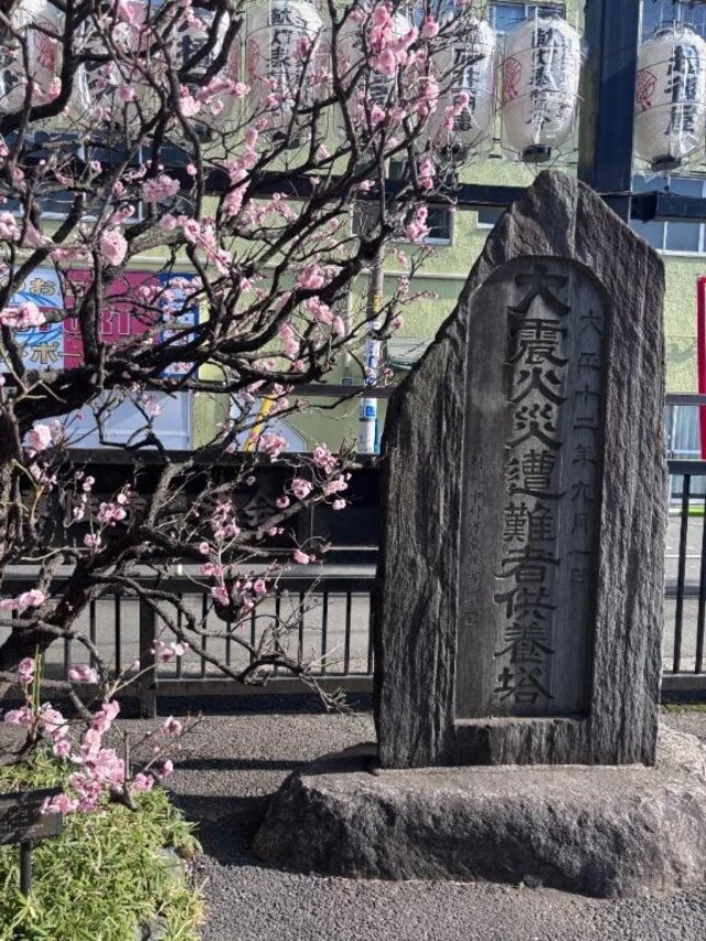 甘い余韻と早春の気配🌸｜写メ日記｜宮沢｜大塚・巣鴨 人妻デリヘル 十恋人～トレンド～