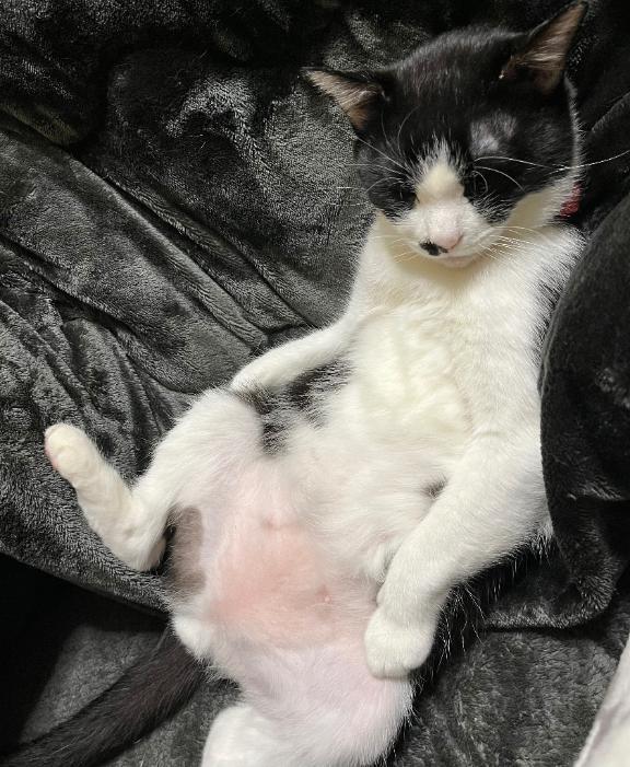 モザイクかけた方がいい？笑