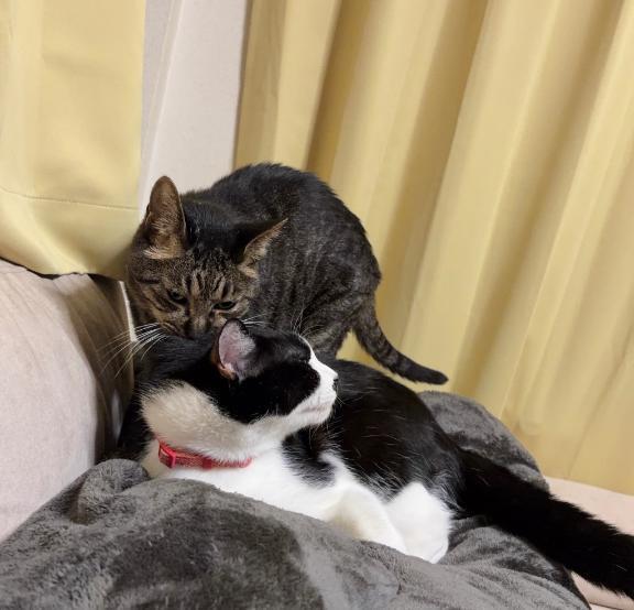 [お題]from:暇すぎんかさん｜写メ日記｜神原｜大塚・巣鴨 人妻デリヘル 十恋人～トレンド～