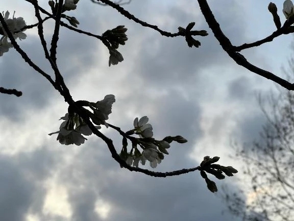 今日の紺藤 -十恋人-