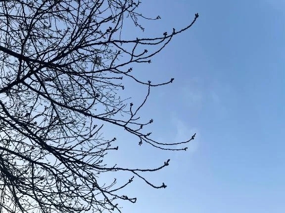 紺❤️3月19日｜写メ日記｜紺藤｜大塚・巣鴨 人妻デリヘル 十恋人～トレンド～