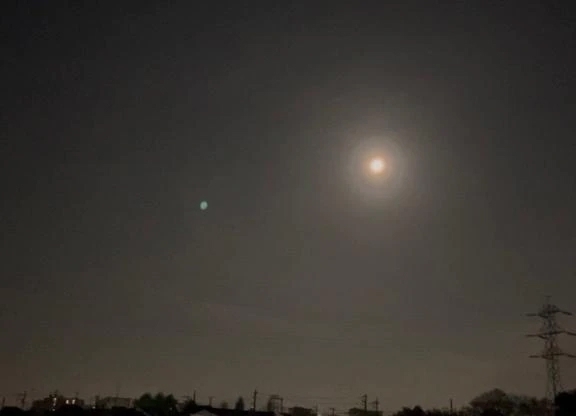 紺♥️4月2日｜写メ日記｜紺藤｜大塚・巣鴨 人妻デリヘル 十恋人～トレンド～