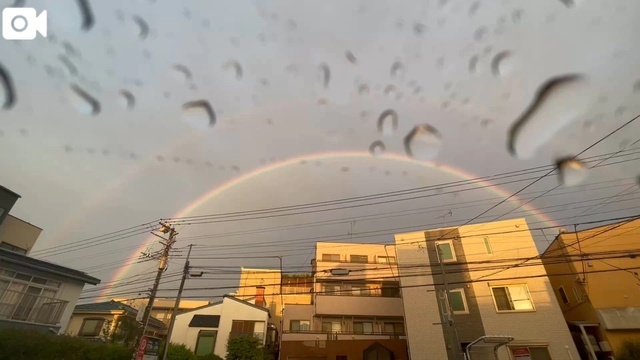 紺❤️4月27日｜写メ日記｜紺藤｜大塚・巣鴨 人妻デリヘル 十恋人～トレンド～