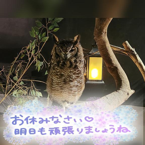 寒すぎー｜写メ日記｜大橋｜大塚・巣鴨 人妻デリヘル 十恋人～トレンド～