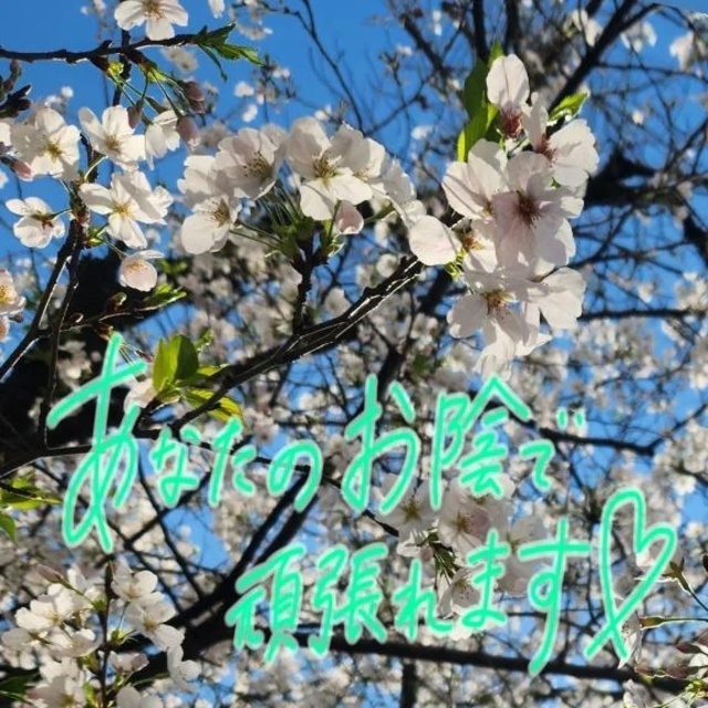 ヒノキ花粉⁉️🤧｜写メ日記｜大橋｜大塚・巣鴨 人妻デリヘル 十恋人～トレンド～