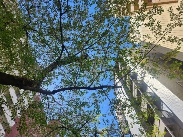 今日暑い～💦｜写メ日記｜大橋｜大塚・巣鴨 人妻デリヘル 十恋人～トレンド～
