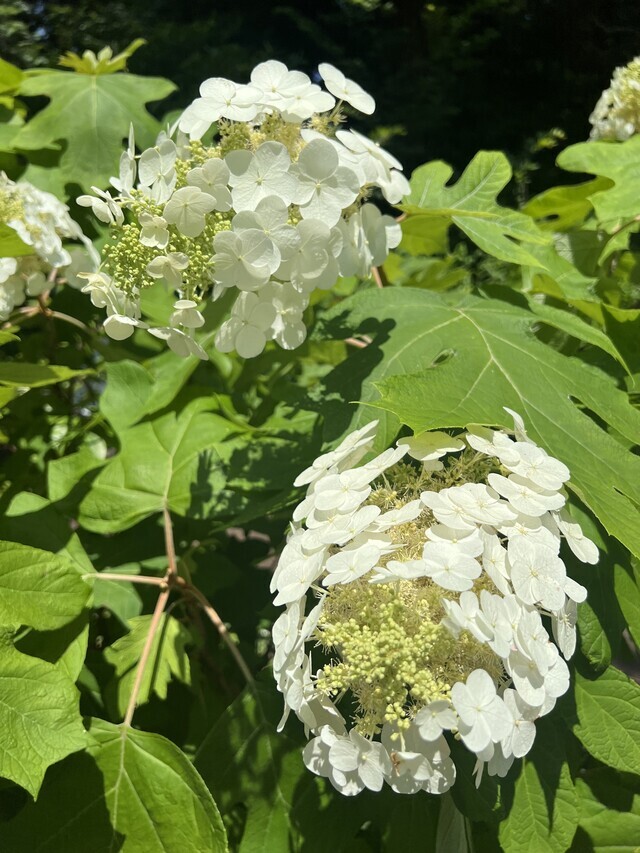 あなたへ