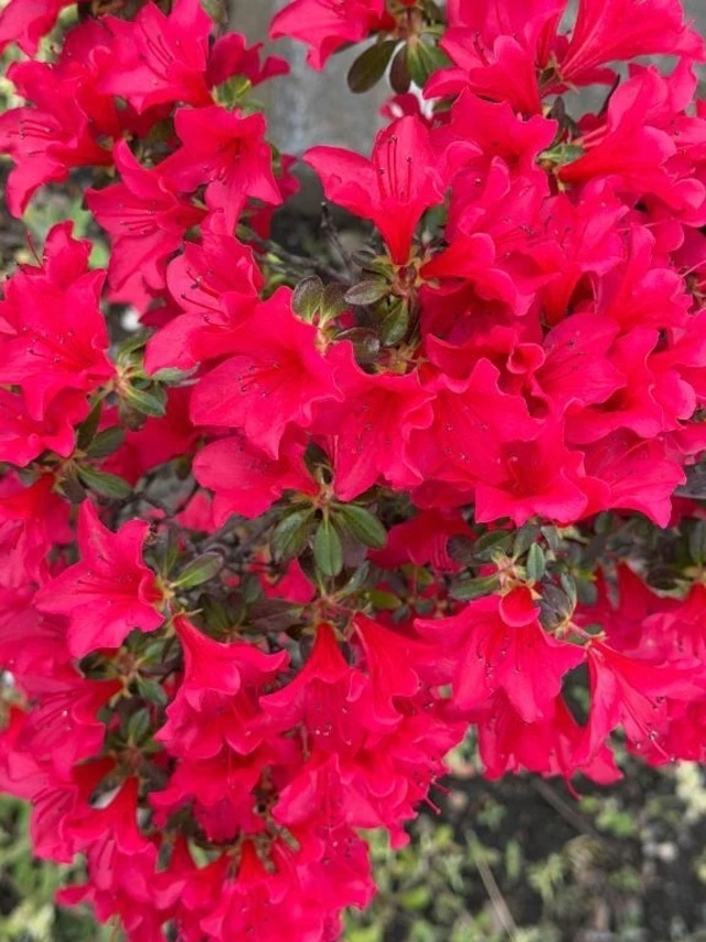 そこにある幸福