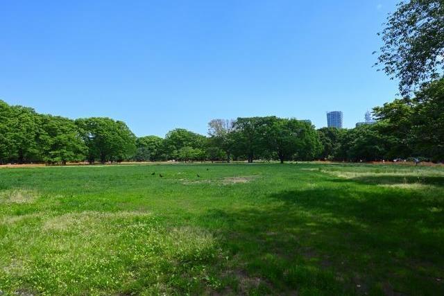 本日15時〜お誘いまってます🌸｜写メ日記｜山下｜大塚・巣鴨 人妻デリヘル 十恋人～トレンド～