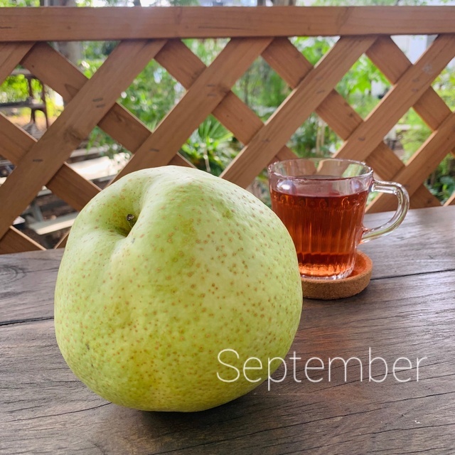 秋日和｜写メ日記｜藤木｜大塚・巣鴨 人妻デリヘル 十恋人～トレンド～