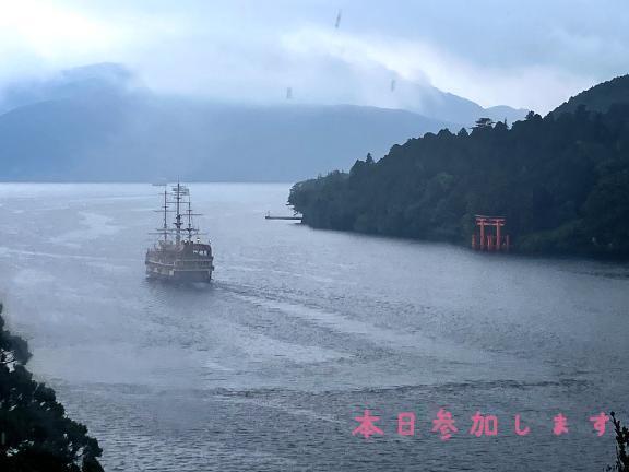 本日参加してます｜写メ日記｜なお｜渋谷 人妻デリヘル 出会い系　人妻ネットワーク　渋谷～目黒編